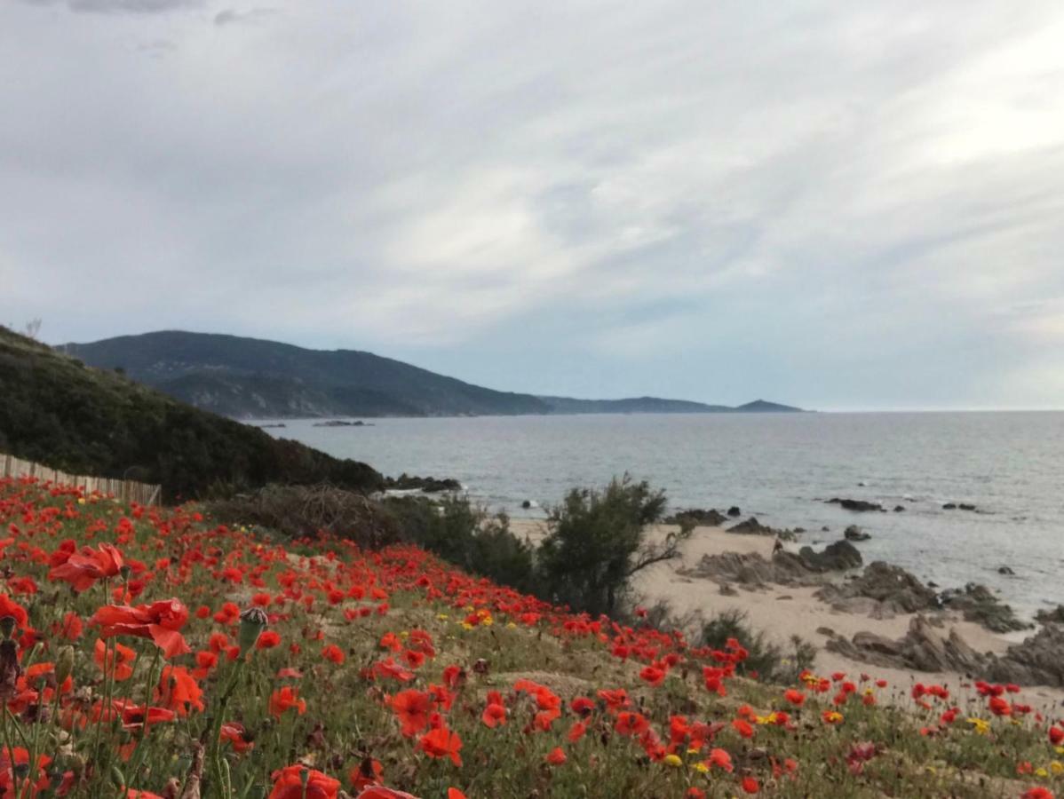 Grand Appartement Style Loft Bord De Mer Propriano  Εξωτερικό φωτογραφία